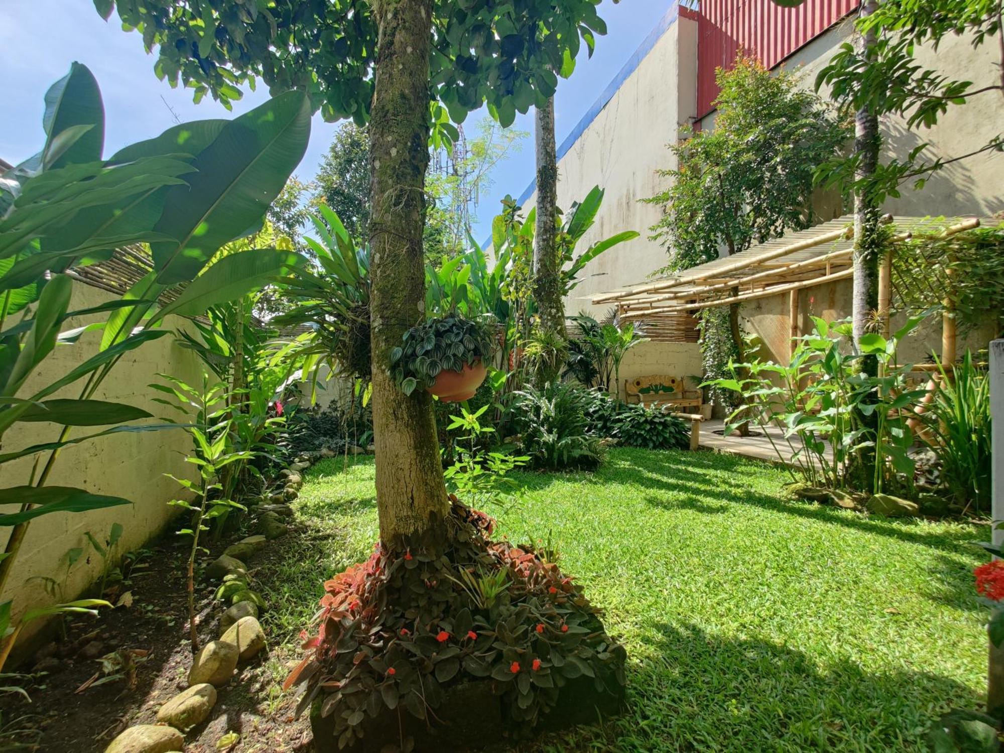 Casa De Lis Hotel & Tourist Info Centre Turrialba Ngoại thất bức ảnh