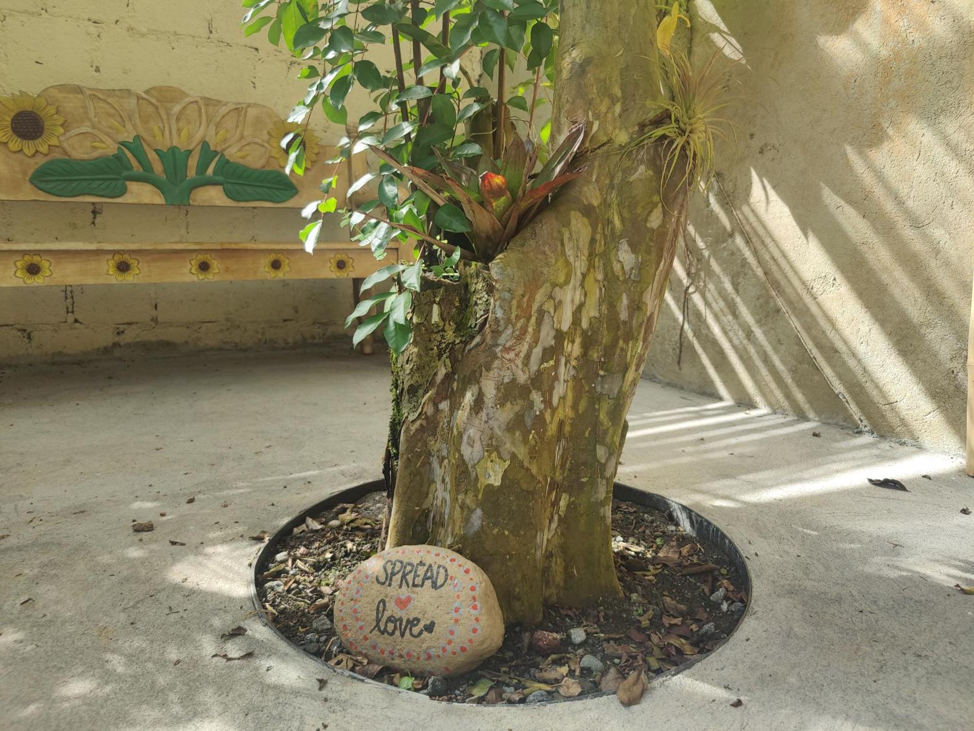 Casa De Lis Hotel & Tourist Info Centre Turrialba Ngoại thất bức ảnh